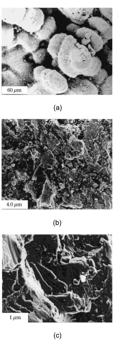 Table 3The mechanical properties of Fe–10Al–xMn–1.0C alloy sheetcastings.