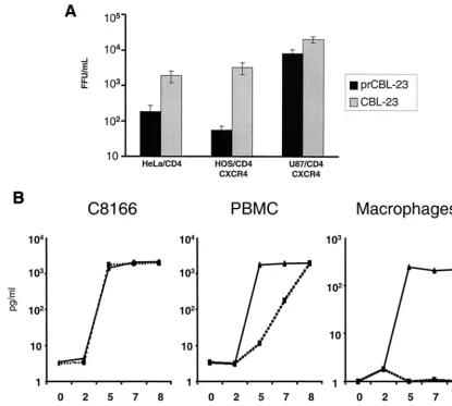 FIG. 1. PrCBL-23 but not CBL-23 is restricted for infection on HeLa/CD4 cells, HOS/CD4/CXCR4 cells and primary macrophages