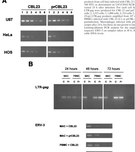 FIG. 5. PCR analysis of reverse transcripts. (A) LTR-gagcells; 2, 3,333 cells; 3, 1,000 cells; 4, 333 cells; 5, 100 cells, 6, 33 cells
