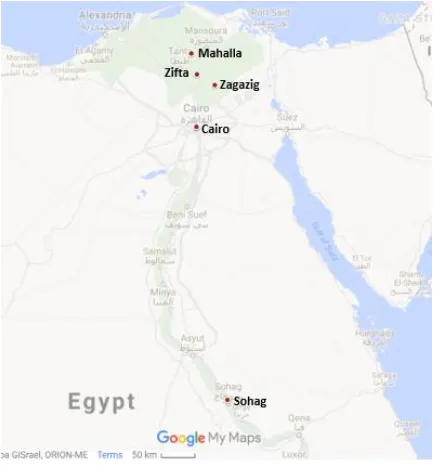 Figure 1.5 Map of Cairo showing places where my Cairo-based interlocutors lived (Map data: Google, DigitalGlobe)