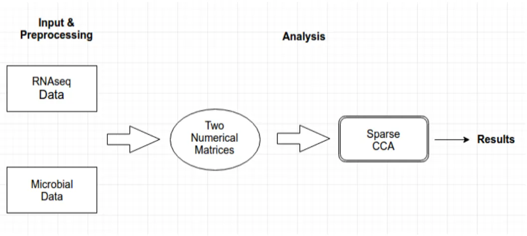 Figure 3 The diagram depicting the overall working structure of the tool