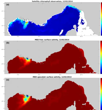 Figure 9. Comparison of the Rhône River plume on 12 February 2014: (a) satellite chlorophyll image, (b) free parent model salinity (c) andupscaled parent model salinity.