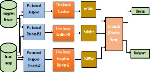 Figure 4.4   Ensemble Model for Breast Histology Image Classification  