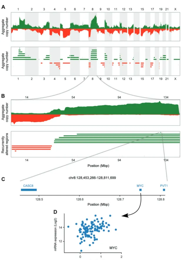 Fig. 1 Schematic selection of candidate driver genes with increases in copy number and expression in TNBC genome