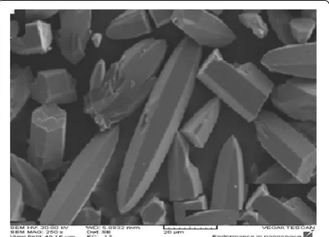 Fig. 2 Scanning electron microscopy image of the synthesized Co-MOF