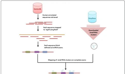 Figure 3 An overview of data mapping and integration for analysis of small RNA clusters in lncRNA loci.