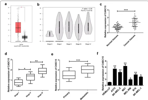 Fig. 1 CASC15 expression is increased in melanoma tumor tissues and correlated with melanoma development