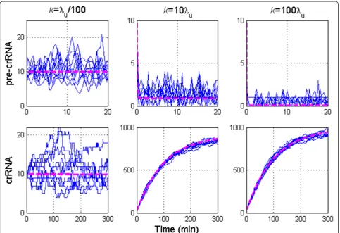 Figure 2 Increase of pre-crRNA processing rate.for an additional order of magnitude relative to B)