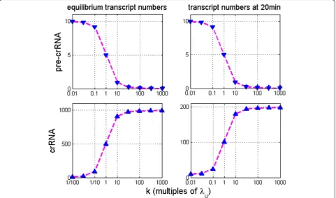 Figure 3 Kinetics of crRNA accumulation.second column correspond, respectively, toaxes in the figure correspond topre-crRNA processing rate ( The figure shows how pre-crRNA (the first row) and crRNA (the second row) amounts change ask) is increased