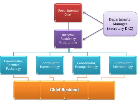 Figure 2. Departmental Residency Committee 