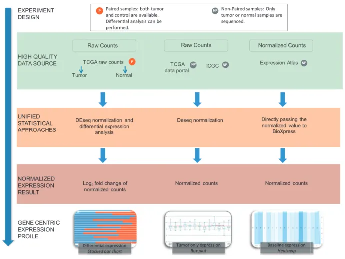 Figure 1. Flow chart of the workflow used to create BioXpress. BioXpress processes short reads and read count data through distinct pipelines