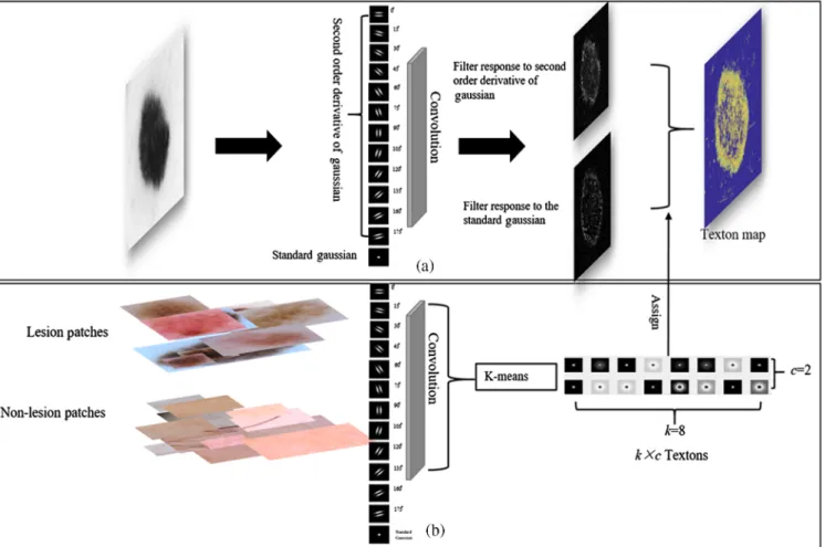 Fig. 2 The framework of the shallow network, where the texton dictionary generation process is shown in (b) bottom flowchart and (a) top flowchart shows the texton map generation process using the learned dictionary.