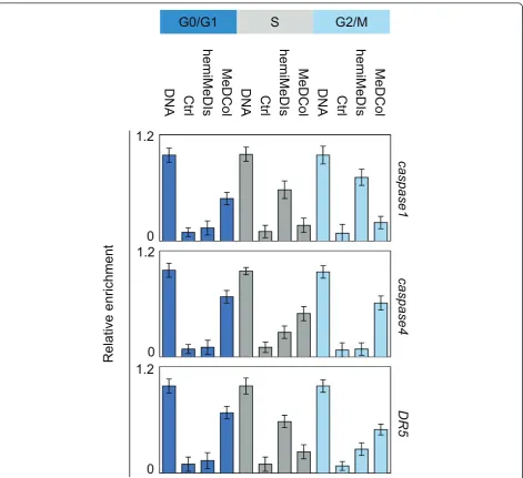 Figure 5 Methylation status of thein absence of His-UHRF1 on column, hemiMeDIs: hemi-methylated DNA Isolated, MeDCol: Methylated DNA collected