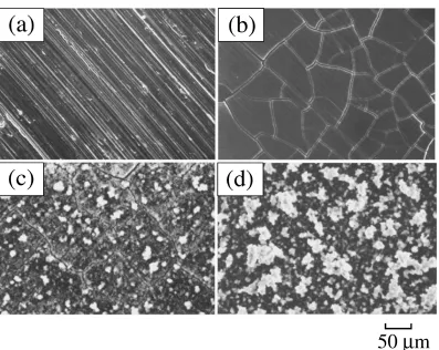 Fig. 6Changes in cathodic current density in electrolysis for various du-rations in the solution containing 3.0 mol m−3 Ca(H2PO4)2, 7.0 mol m−3CaCl2 and 6 mass%H2O2 at pH 5.5, 309.5 K under the potential of−557 mV.