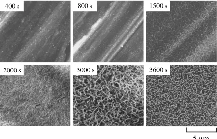 Fig. 7Change in surface morphology after electrolysis for various durations in the solution containing 3.0 mol m−3 Ca(H2PO4)2,7.0 mol m−3 CaCl2 and 6 mass%H2O2 at pH 5.5, 309.5 K under the potential of −557 mV.
