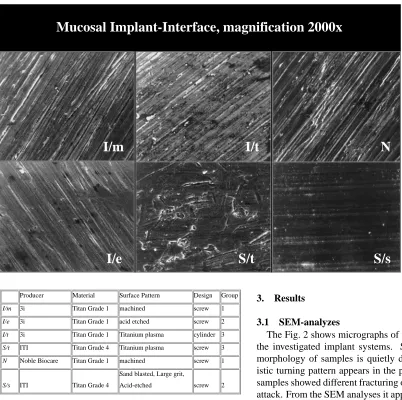 Fig. 2Micrographs of representative analyzed mucosal implant in-terfaces:I/m=machined screw,titanium grade 1,group 1,I/e = acid etched screw, titanium grade 1, group 2, I/t = plasma sprayedcylinder, titanium grade 1, group 3, S/t = plasma sprayed screw, tita-nium grade 4, group 3, N = machined screw, titanium grade 1, group 1,S/s = sand blasted, large grit, acid-etched screw, titanium grade 4, group2.
