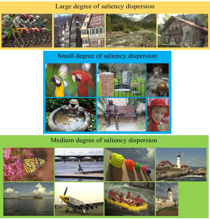 Figure 4.1: Illustration of reference images with different degrees of saliency dispersion used in our experiment, which yield 288 test images.