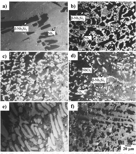 Fig. 5BEI micrographs of the as-cast alloys used in this study. (a) Nb–22Si–5Mo (b) Nb–22Si–5Mo–5Cr (c) Nb–22Si–5Mo–10Cr,(d) Nb–22Si–5Mo–15Cr, (e) Nb–22Si–5Mo–20Cr, (f) Nb–22Si–5Mo–25Cr.