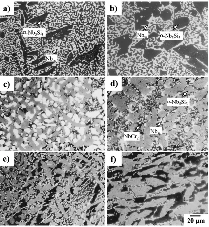 Fig. 6BEI micrographs of the alloys heat treated at 1773 K for 100 h.(a) Nb–22Si–5Mo,(b) Nb–22Si–5Mo–5Cr,(c) Nb–22Si–5Mo–10Cr, (d) Nb–22Si–5Mo–15Cr, (e) Nb–22Si–5Mo–20Cr, (f) Nb–22Si–5Mo–25Cr.