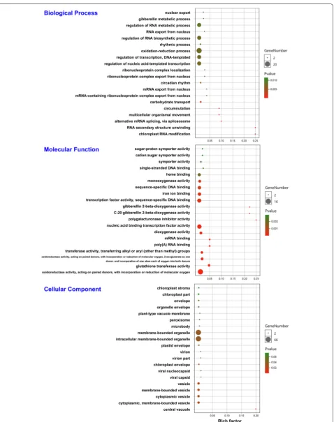 Fig. 6 Functional classification of the DEGs homologous to maize using GO analysis. The horizontal axis shows the enrichment factors of the GO terms