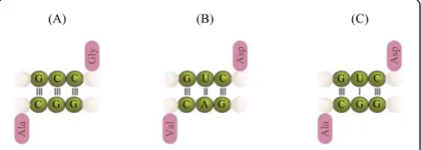 Figure 5). What is striking is that modern pairs of tRNAs