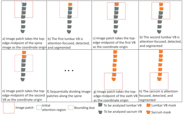 Figure 2.8. Giving a spine image, for the first VB, the image patch takes the top-edge-midpoint of the spine image as a coordinate origin and crops a 196*196 area