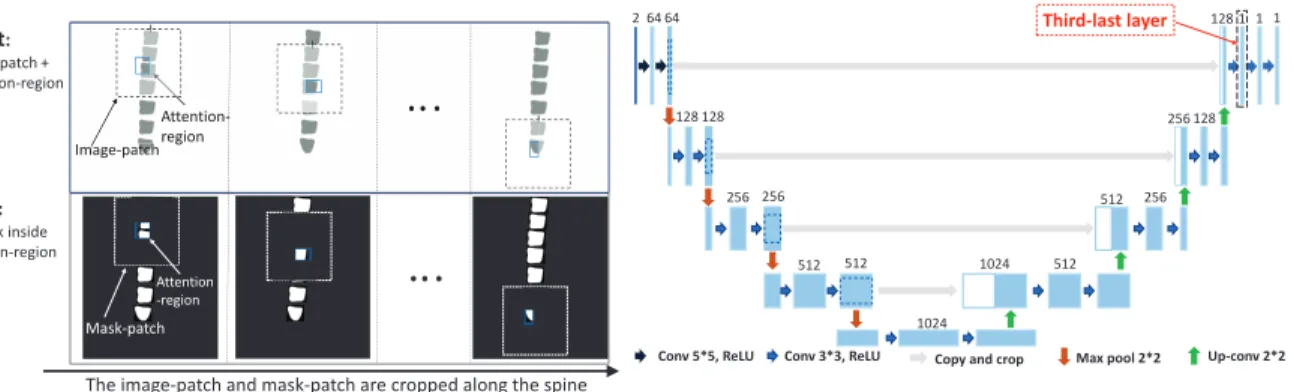 Figure 2.12. The architecture of the adapted U-Net and related training data. The third- third-last layer is shown as the red arrow