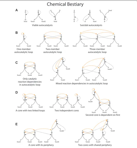 Figure 1 Classification of various network modules within autocatalytic setsalso possible that a molecular periphery appears only if two or more cores are present (D in second example)