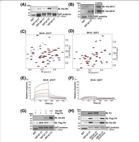 Fig. 2 (See legend on next page.)