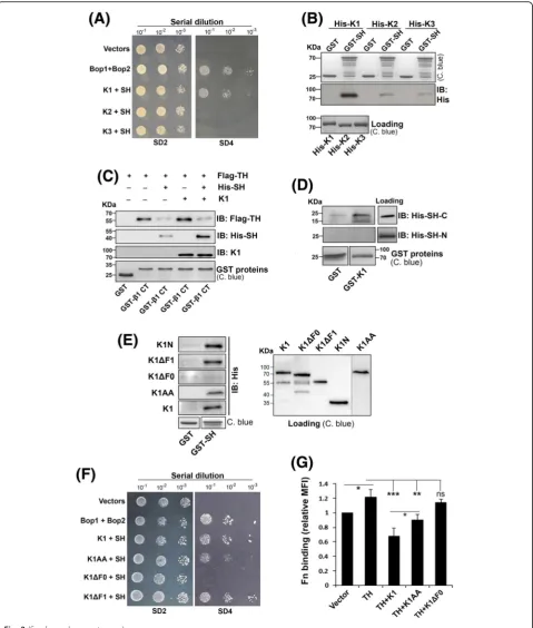Fig. 3 (See legend on next page.)