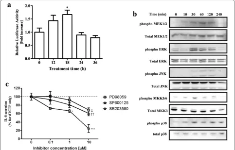 Fig. 5 Activation of MAPK pathway by dTCTP in BEAS-2B cells. blotting. Results are representative of at least three experiments