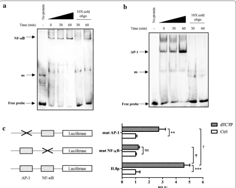 Fig. 2 The role of NF-κB and AP-1 in dTCTP-induced IL-8 production. Electrophoretic mobility shift assays to measure the DNA-binding activities of 
