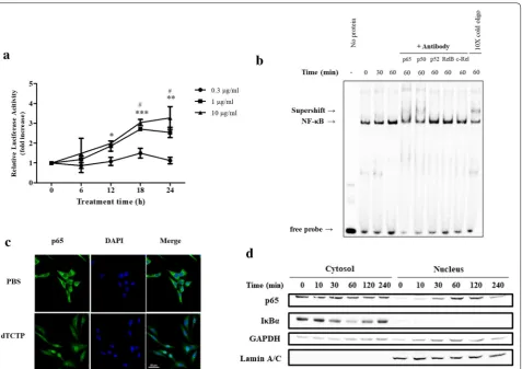 Fig. 3 Activation of NF-κB pathway by dTCTP in BEAS-2B cells. a NF-κB-driven luciferase activity was measured in dTCTP-treated BEAS-2B cells that were transiently transfected with pNF-κB-Luc