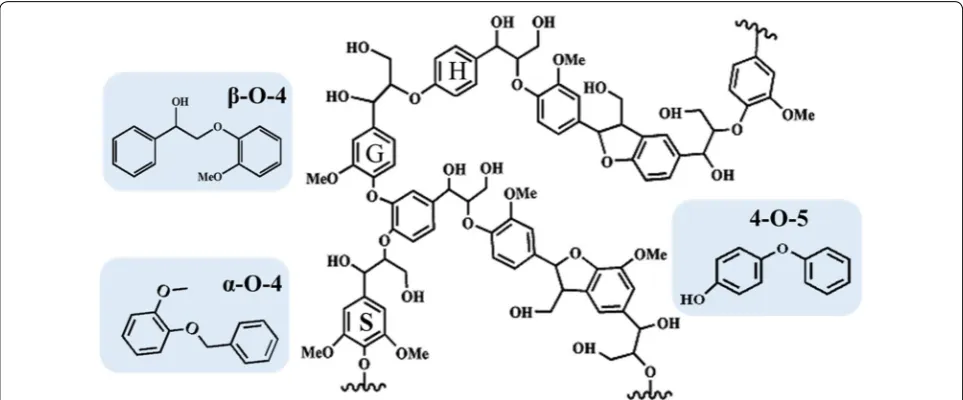 Fig. 1 Representative structure of native lignin and three lignin model compounds for the β-O-4, α-O-4, and 4-O-5 linkages