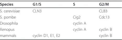 Table 1 Translational control of cyclins in the cell cycle