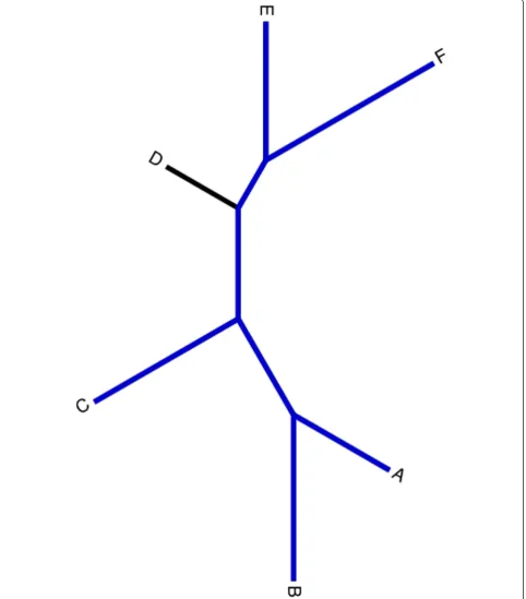 Figure 2 Example phylogeny. A toy phylogeny of six sequences, represented by the letters A-F.