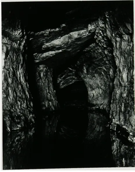 Figure 4.Limestone
