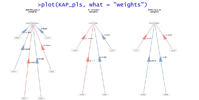 Figure 5: Measurement model showing the weights of each indicative sub -construct on the latent variables (red arrows signify negative influence while blue arrows signify positive influence)