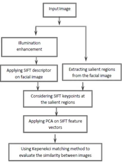 Figure 5. Image Illumination Enhancement.