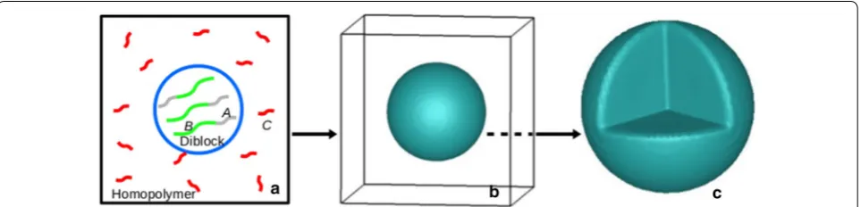 Fig. 1 a A simulation box contains a diblock copolymer A–B and a homopolymer C. b A spherical domain that comprises of a diblock copolymer A4B8 after a domain confinement calculation was performed