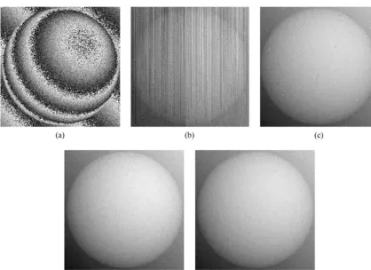 Fig. 3.Results for the last frame �t � 99� of the simulated spherical object. (a) Wrapped phase, the unwrapped phase using the (b) ﬂood-ﬁllalgorithm, (c) Cusack algorithm, (d) Huntley algorithm, and (e) proposed algorithm.