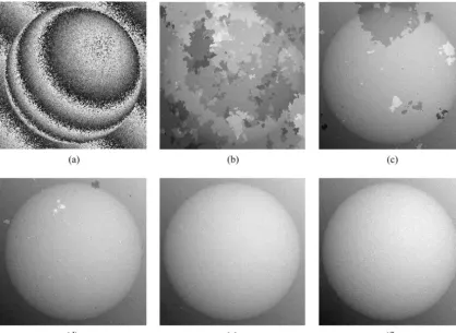 Fig. 7.Effect of quality map on the unwrapping path for a simulated spherical object, (a) wrapped-phase map at frame number 75t � 75�, unwrapped-phase map for the same frame resulting from using: (b) pseudocorrelation, (c) maximum gradient, (d) phase derivativevariance, (e) second difference using 26 neighbors, and (f) second difference using only six orthogonal neighbors.