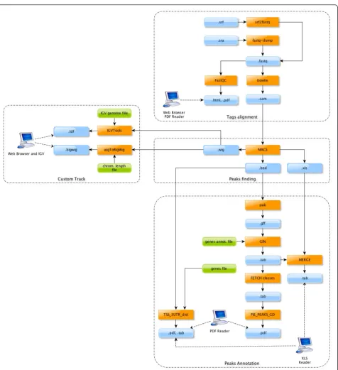 Figure 1 Schematic representation of the pipeline. Schematic representation of the pipeline.