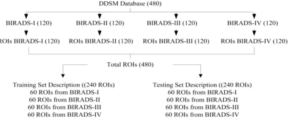 Fig. 1. Database description