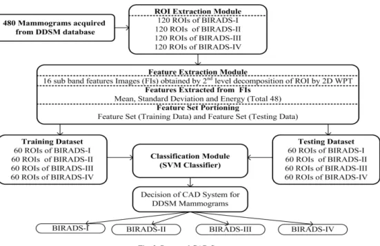Fig. 2. Proposed CAD System 