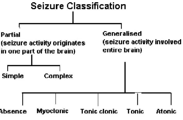 Figure 2.1: Seizure Classification according to ILAE [1]