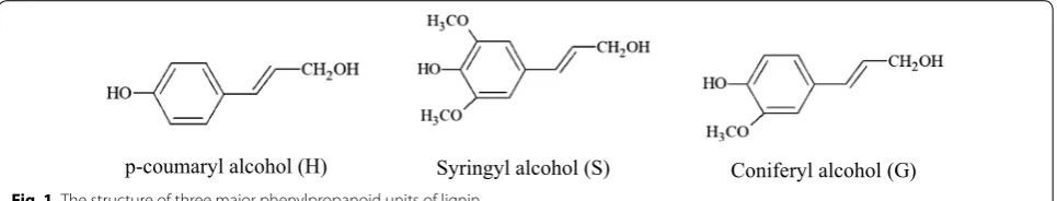 Fig. 1 The structure of three major phenylpropanoid units of lignin