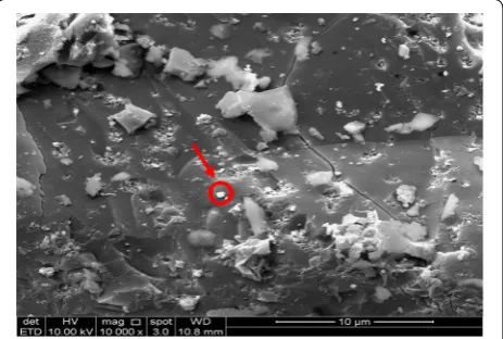 Fig. 10 SEM image of kraft lignin at 10,000× magnification