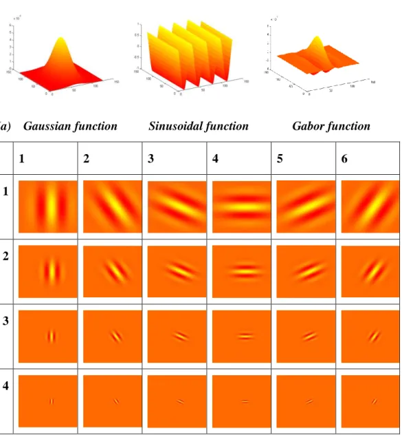 Figure 3.1 shows typical 2D Gabor wavelet profile with different directions and  scales