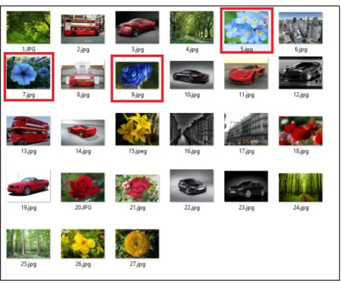 Figure 11. Image database to analyze distance measure–sample image 1. 
